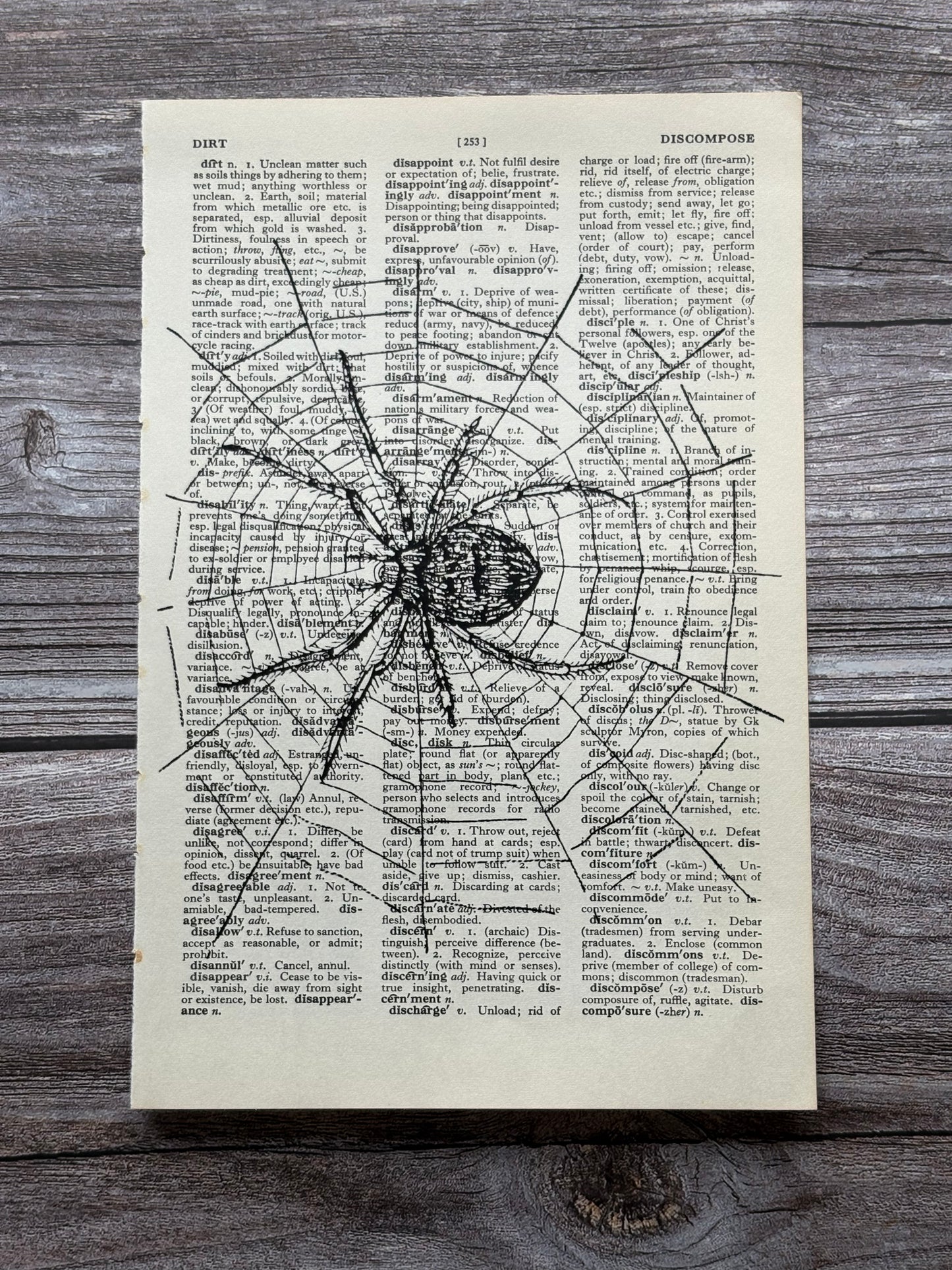Antique Spider Web Dictionary Page Wall Art | Dark Cottagecore Gothic Print