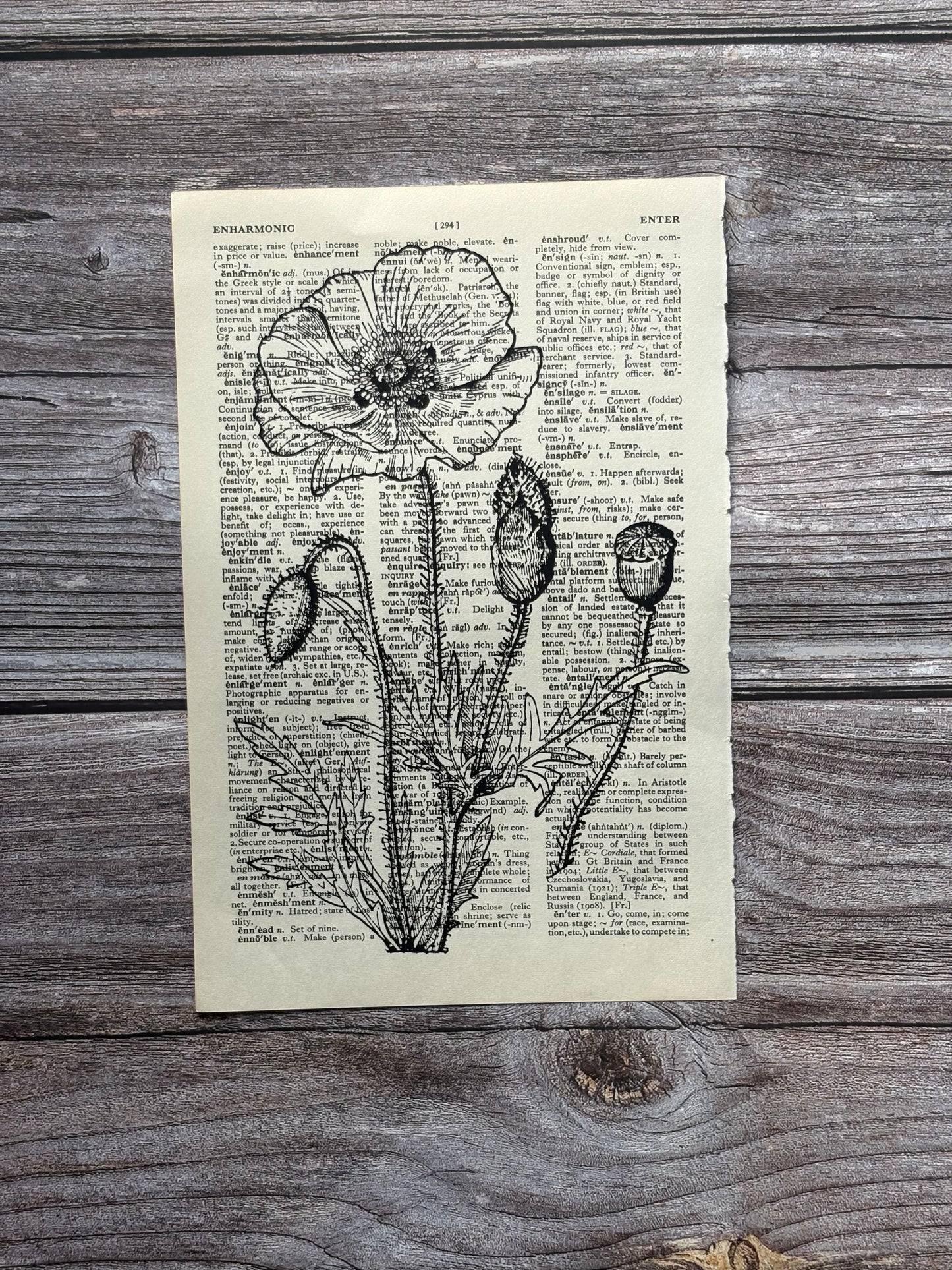 Antique Poppy Flower Dictionary Page Wall Art | Dark Cottagecore Gothic Print