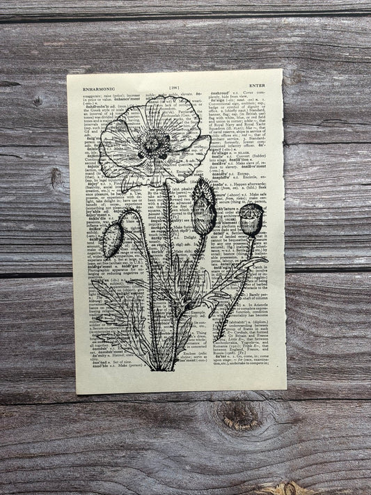 Antique Poppy Flower Dictionary Page Wall Art | Dark Cottagecore Gothic Print
