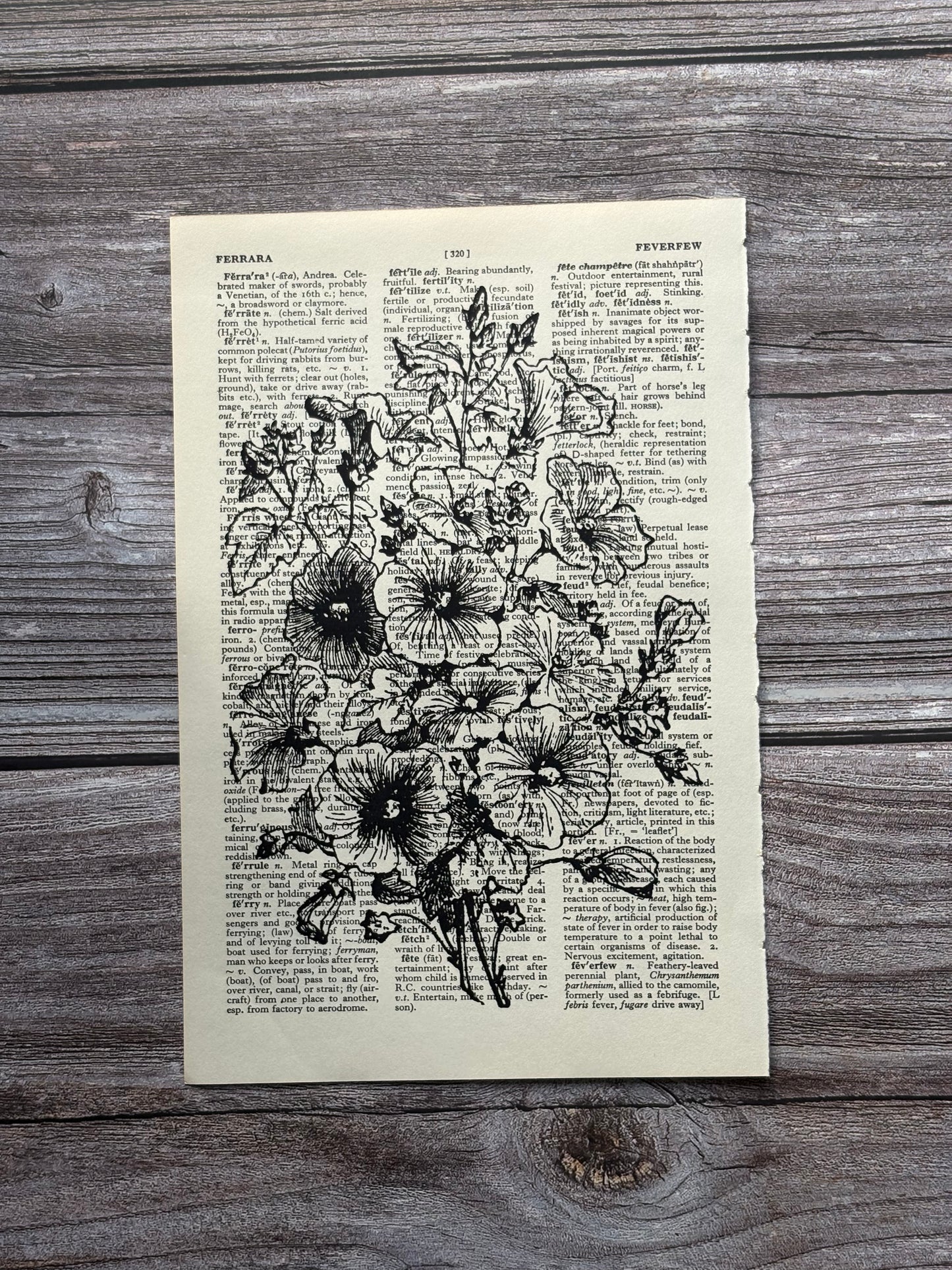 Antique Laverta Trimestris Flower Dictionary Page Wall Art | Dark Cottagecore Gothic Print