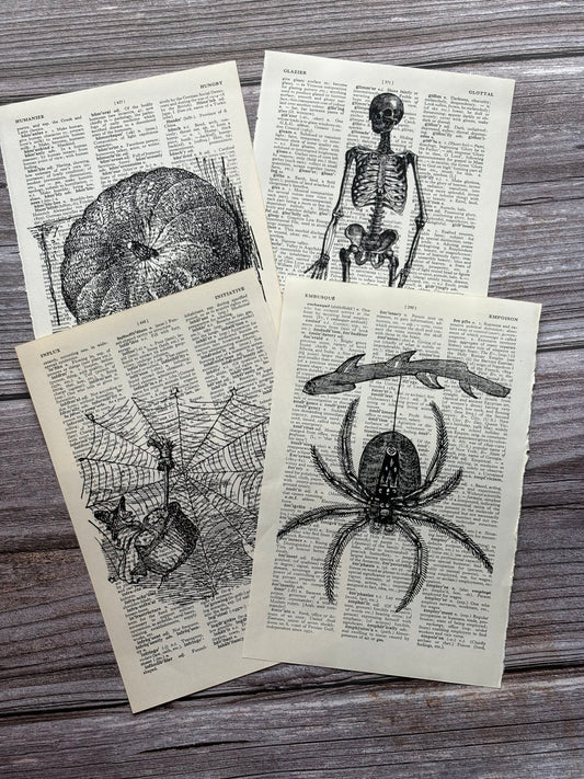 Antique Witchy Halloween Dictionary Page Wall Art | Dark Cottagecore Gothic Prints | Set of 4