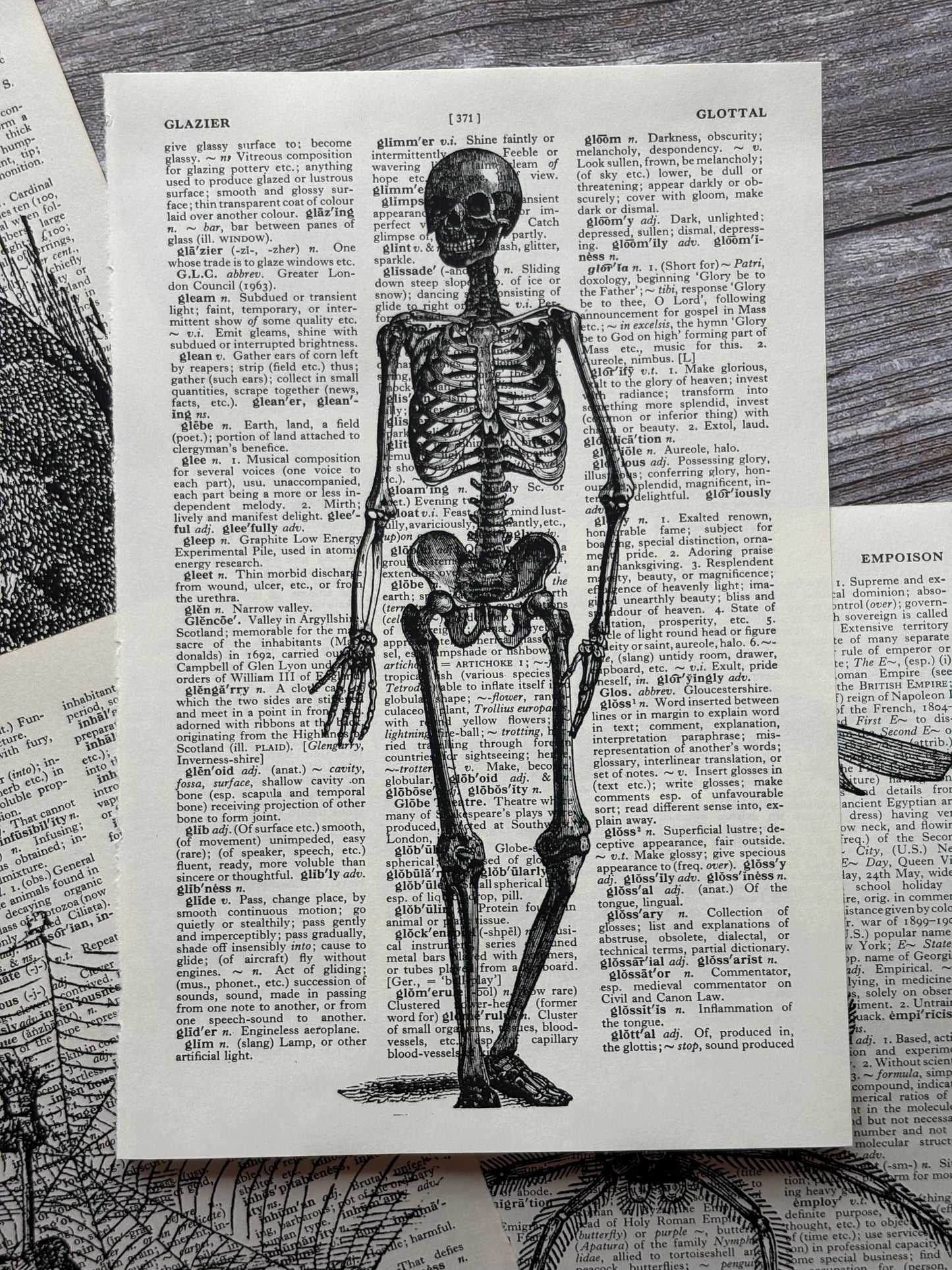 Antique Witchy Halloween Dictionary Page Wall Art | Dark Cottagecore Gothic Prints | Set of 4