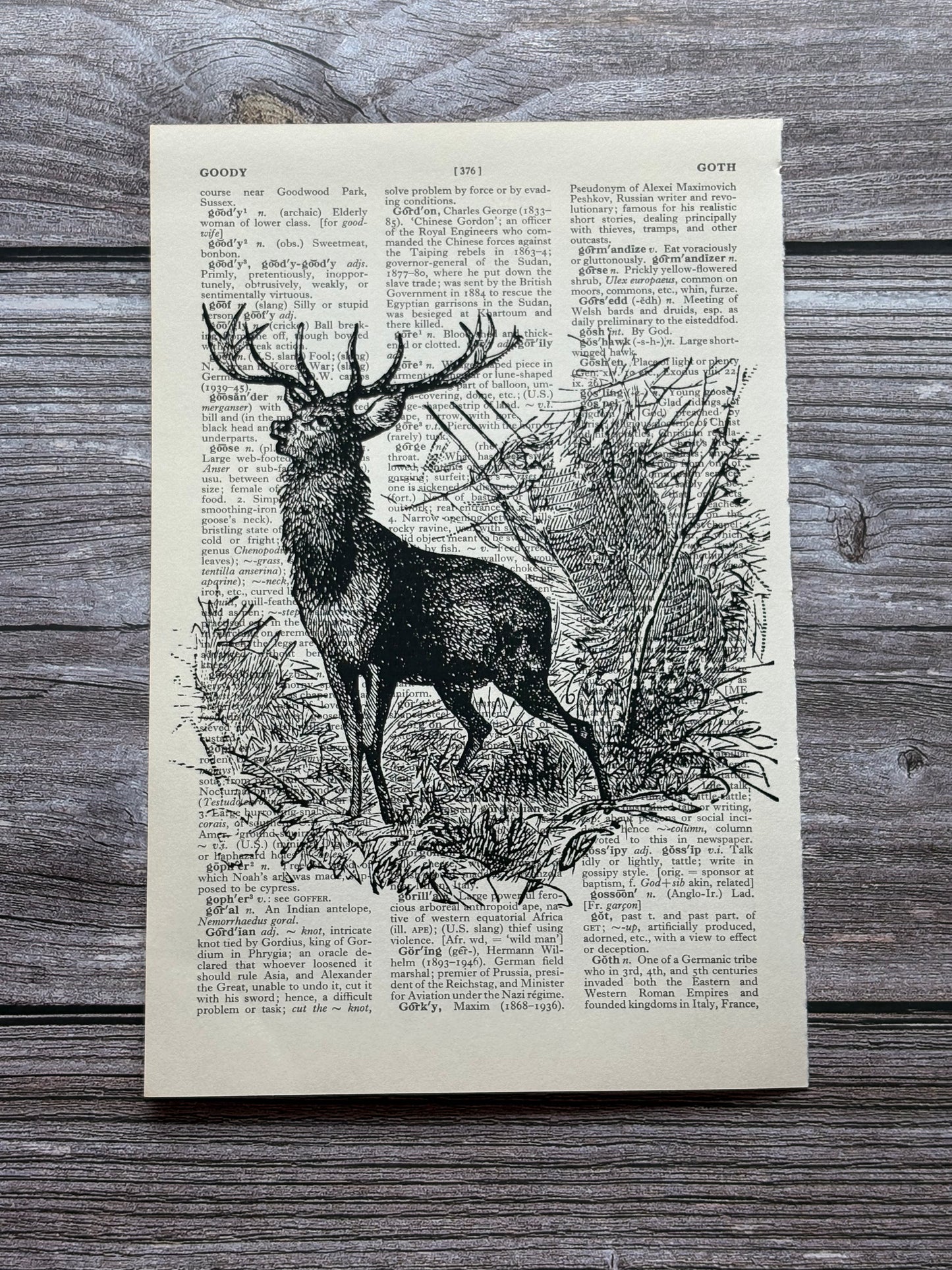 Antique Deer Dictionary Page Wall Art | Dark Cottagecore Gothic Print