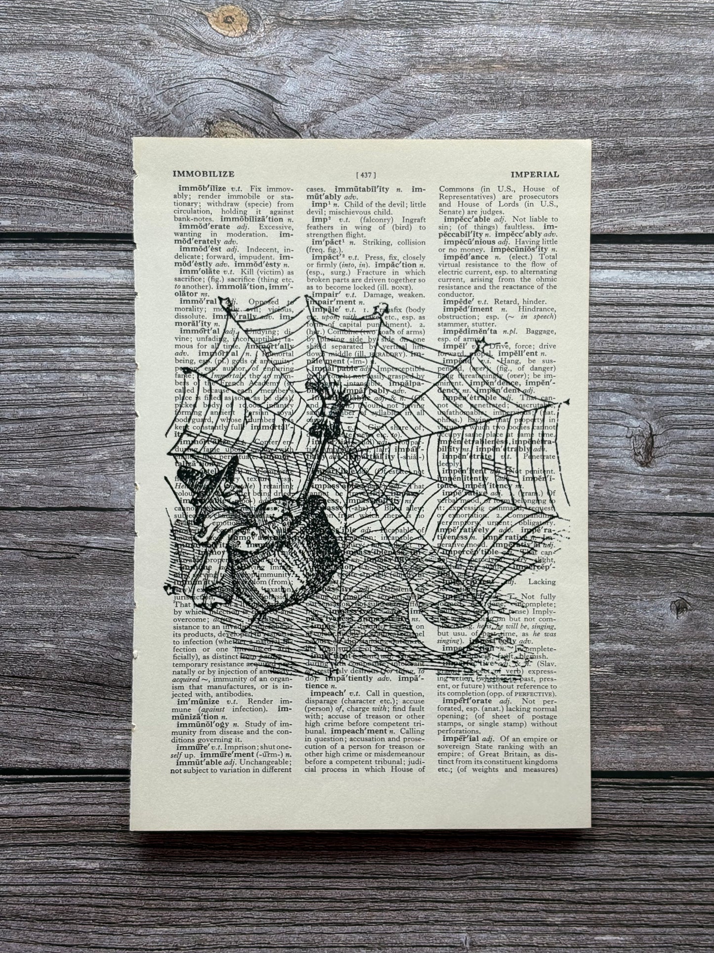 Antique Witch Dictionary Page Wall Art | Dark Cottagecore Gothic Print
