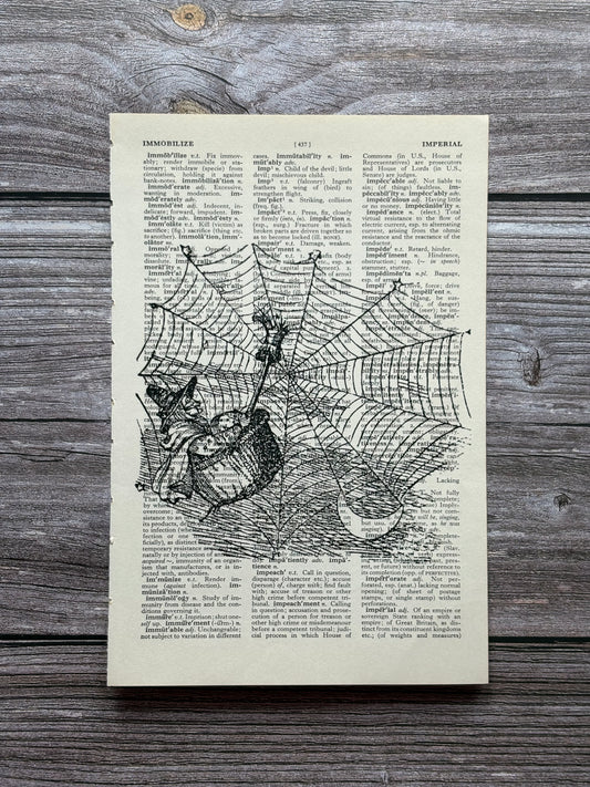 Antique Witch Dictionary Page Wall Art | Dark Cottagecore Gothic Print
