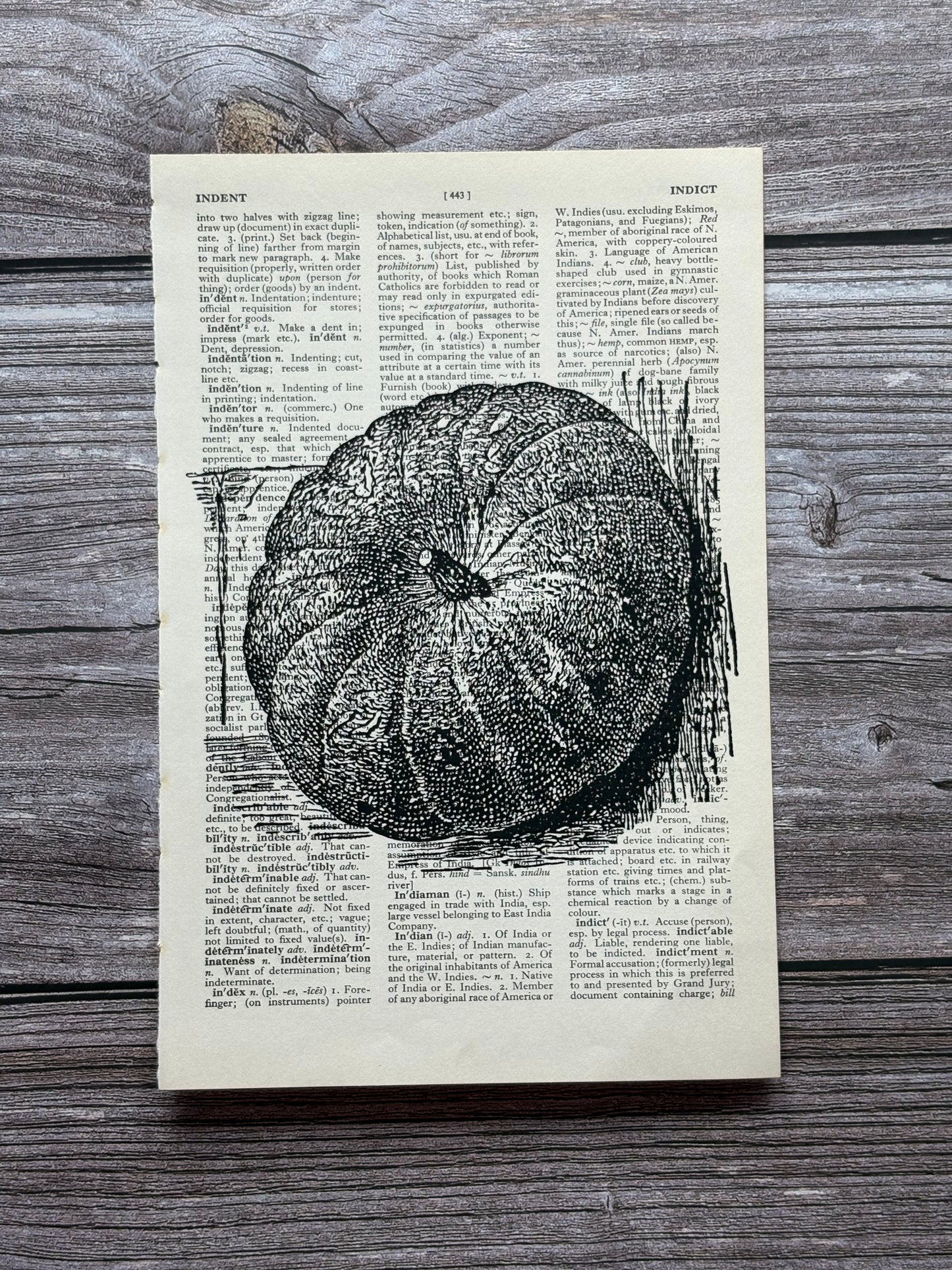 Antique Pumpkin Dictionary Page Wall Art | Dark Cottagecore Gothic Print