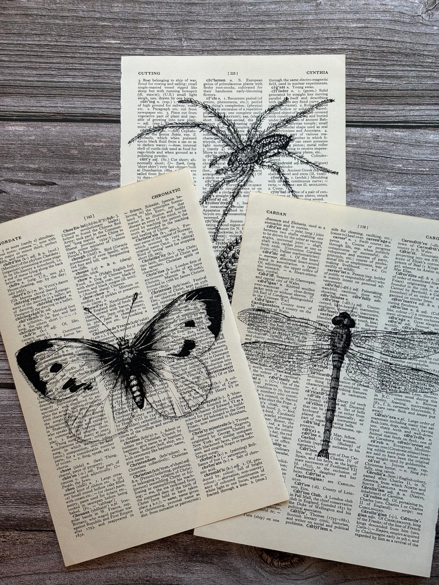 Antique Insect Dictionary Page Wall Art | Dark Cottagecore Gothic Prints | Set of 3