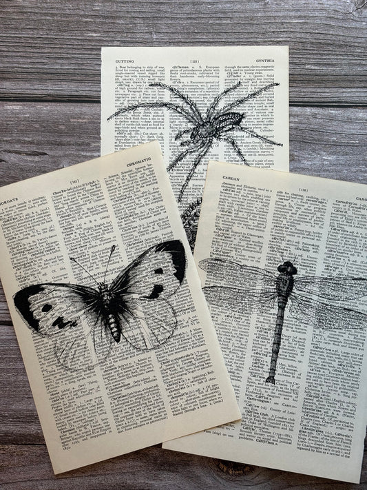 Antique Insect Dictionary Page Wall Art | Dark Cottagecore Gothic Prints | Set of 3