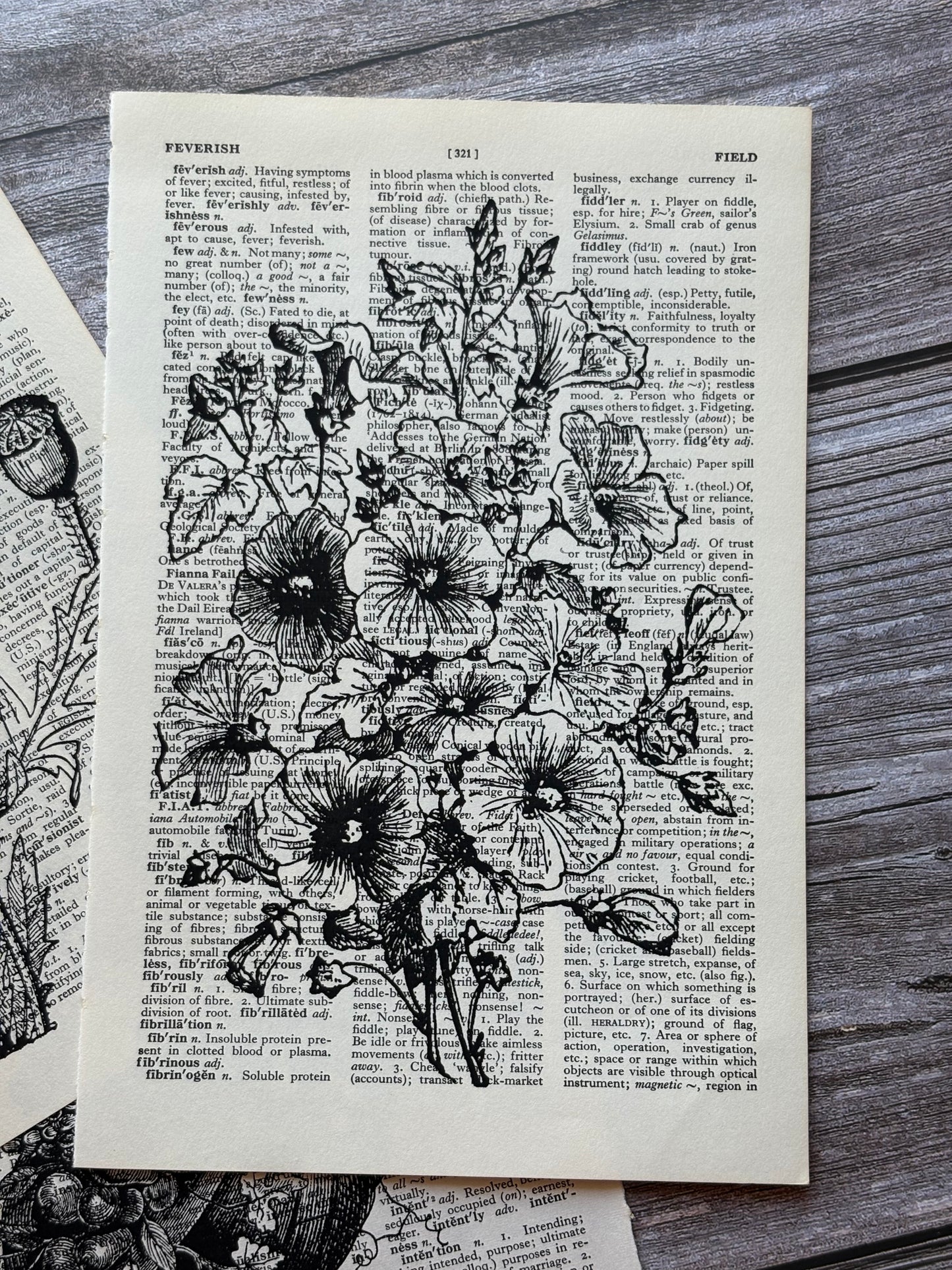 Antique Botanical Flower Dictionary Page Wall Art | Dark Cottagecore Gothic Prints | Set of 3