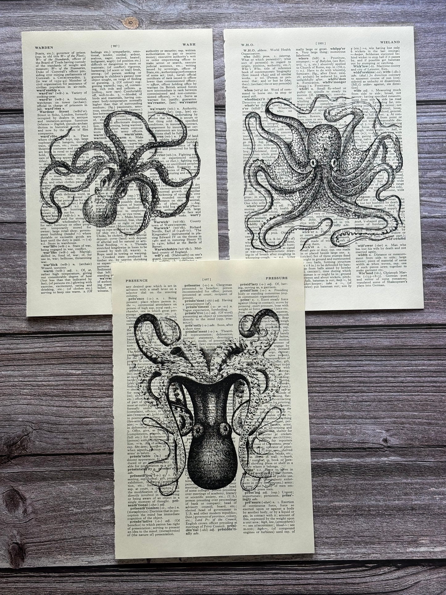 Antique Octopus Dictionary Page Wall Art | Dark Cottagecore Gothic Sea Creature Prints | Set of 3
