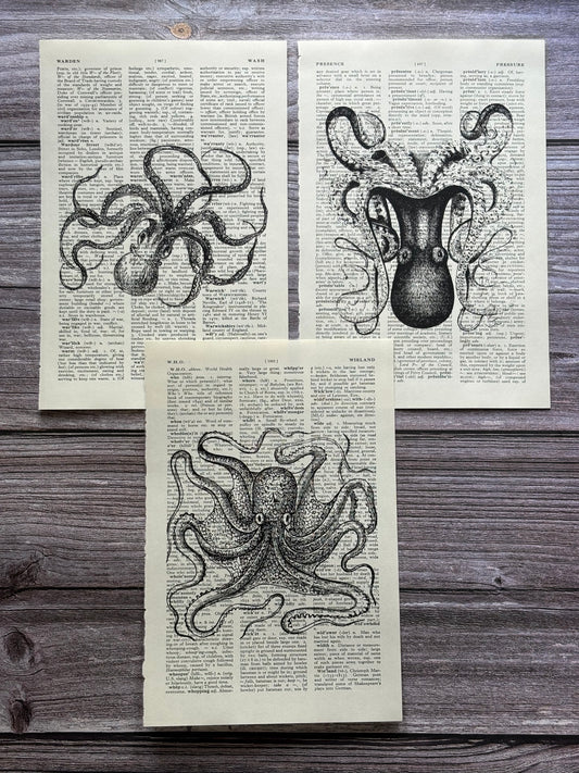 Antique Octopus Dictionary Page Wall Art | Dark Cottagecore Gothic Sea Creature Prints | Set of 3