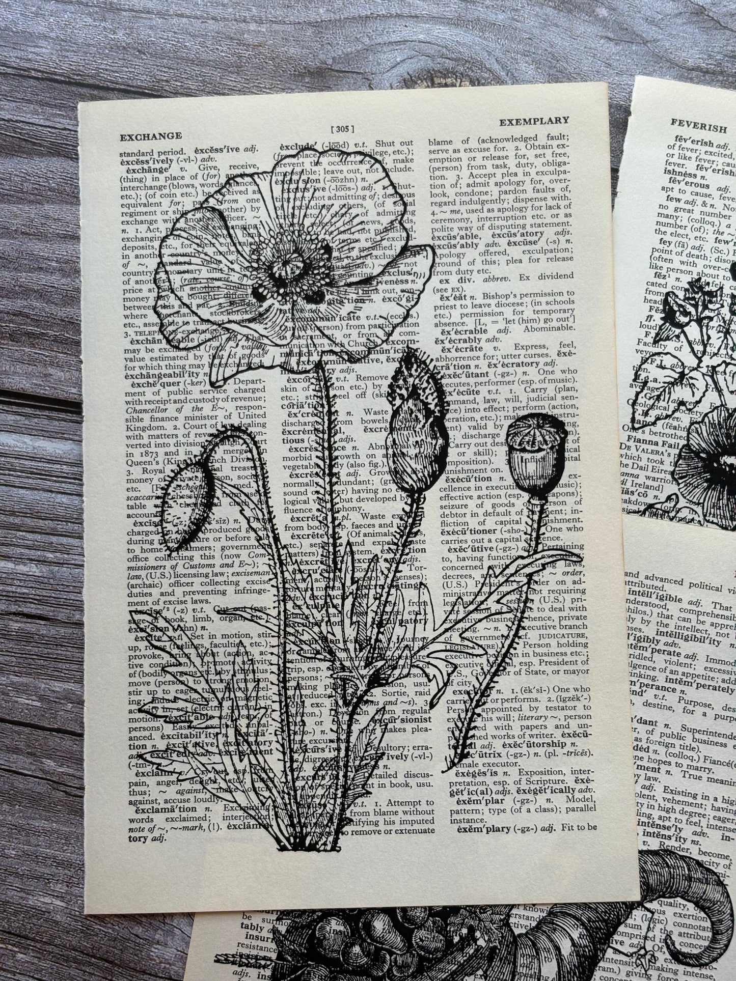 Antique Botanical Flower Dictionary Page Wall Art | Dark Cottagecore Gothic Prints | Set of 3