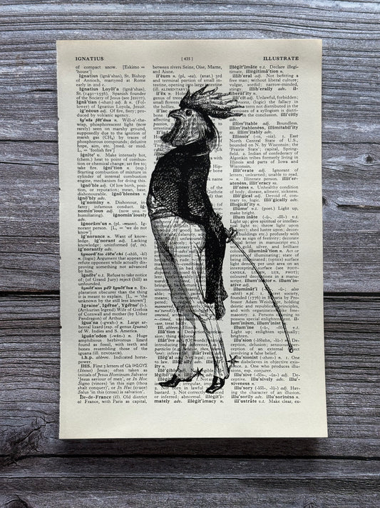 Antique Roosterman Dictionary Page Wall Art | Dark Cottagecore Gothic Print