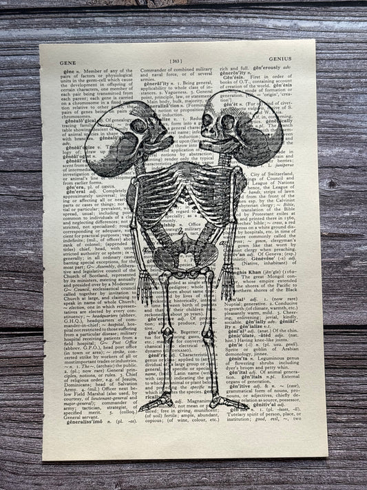 Antique Siamese Twin Skeleton Dictionary Page Wall Art | Dark Cottagecore Gothic Print